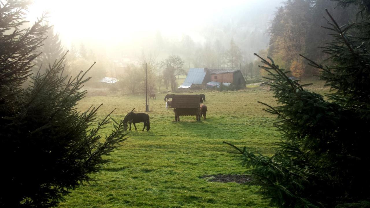 Dom Trzech Braci Holiday home *